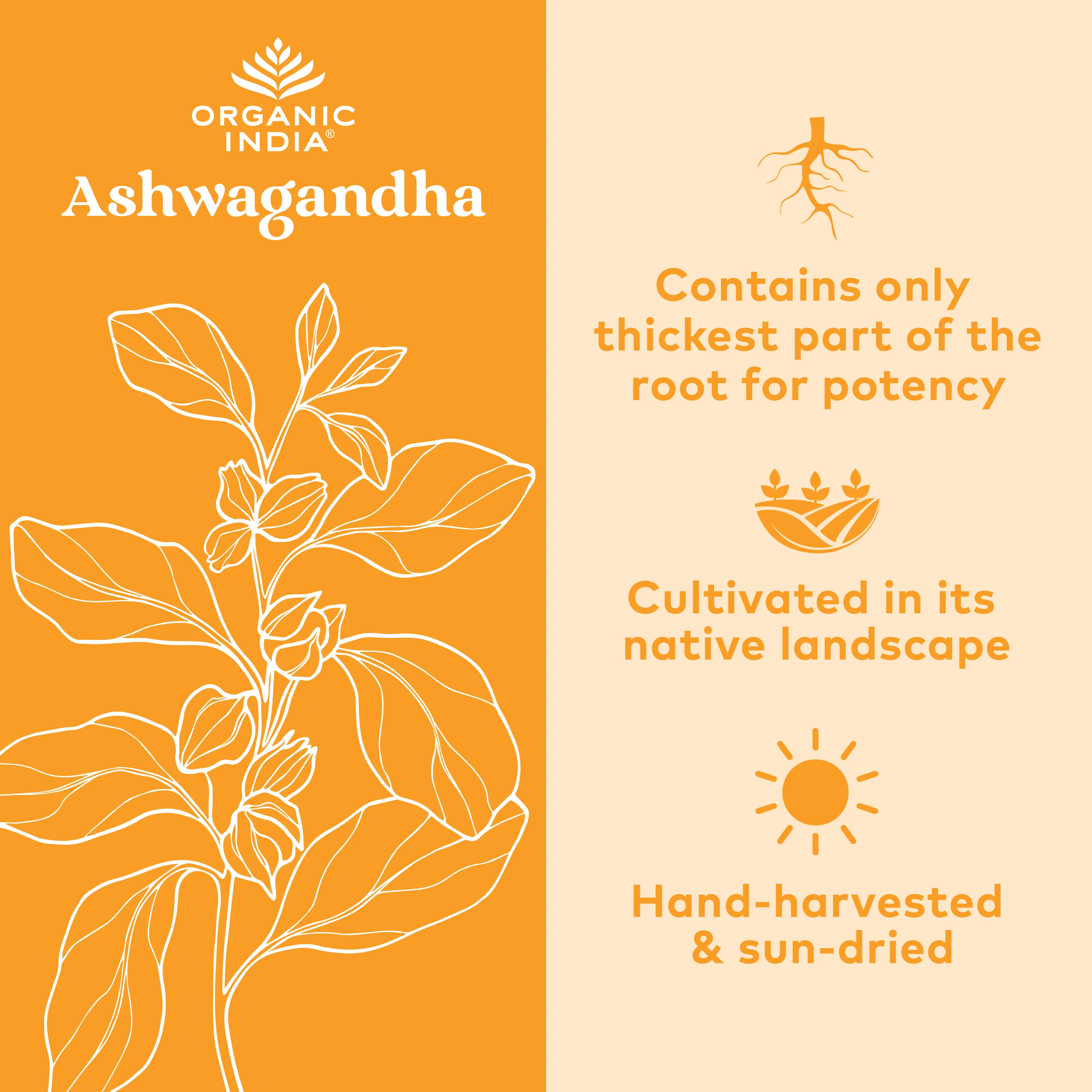 Ashwagandha Root Powder 1lb Bag - Image 3