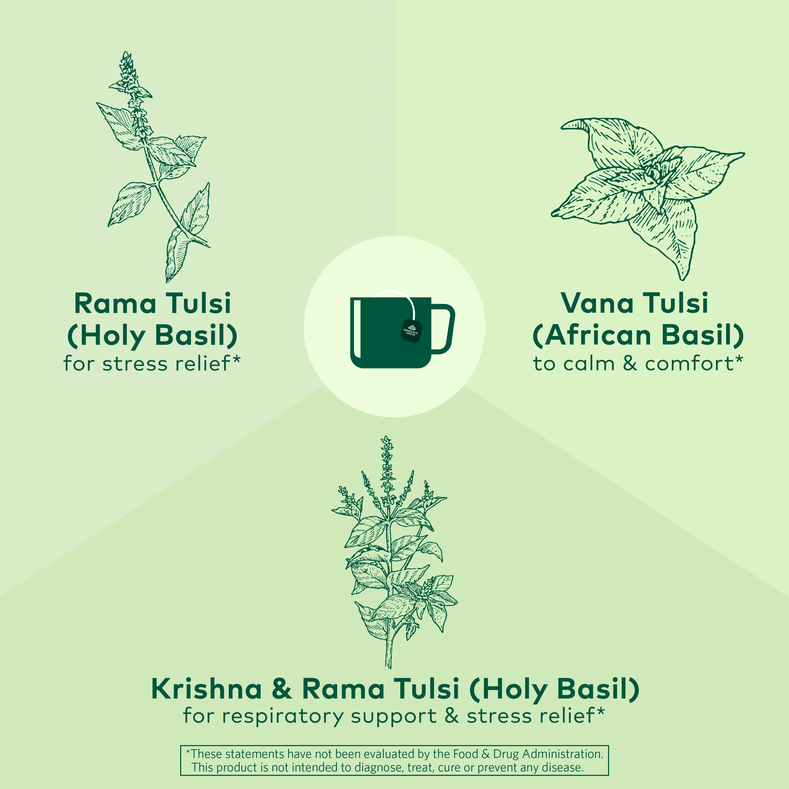 Tulsi Original Tea - Image 13